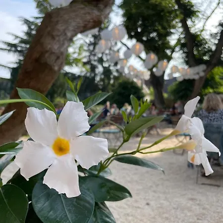 Weinhotel Koegler 3* Eltville am Rhein