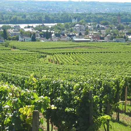 Wein Koegler 3* Eltville am Rhein