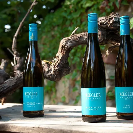 Weinhotel Koegler 3* Eltville am Rhein