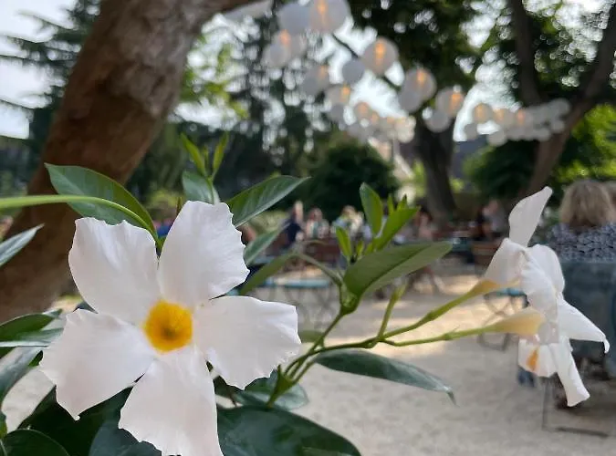 Weinhotel Koegler 3* Eltville am Rhein