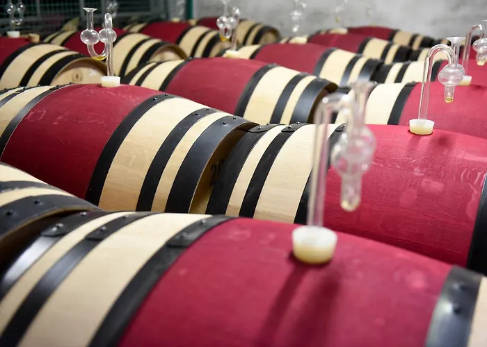 Weinhotel Koegler 3* Eltville am Rhein