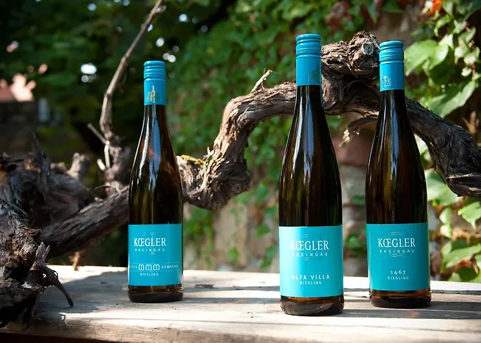 Weinhotel Koegler 3* Eltville am Rhein