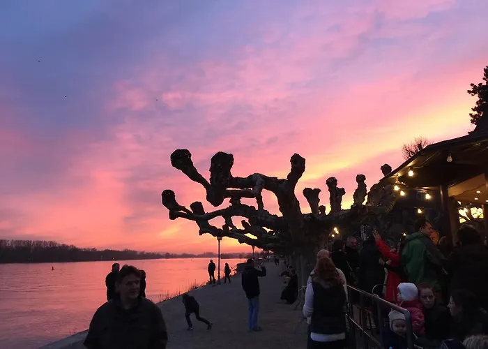 Weinhotel Koegler 3* Eltville am Rhein